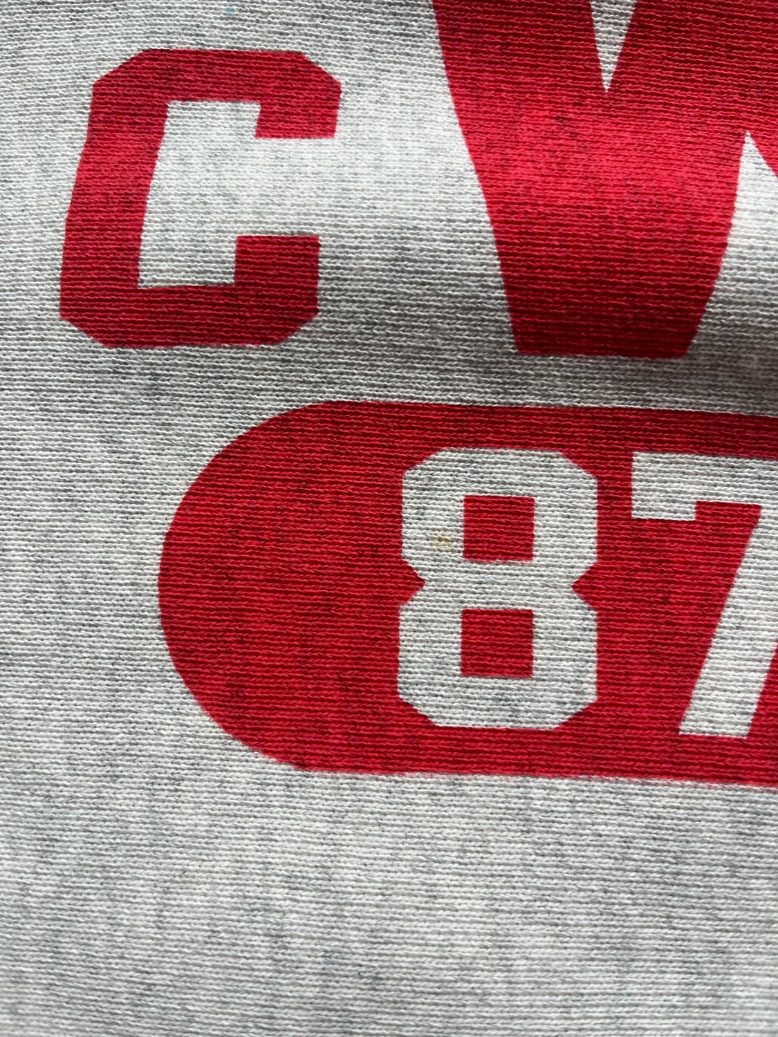 챔피온 리버스위브 블루탭 맨투맨 상품이미지7