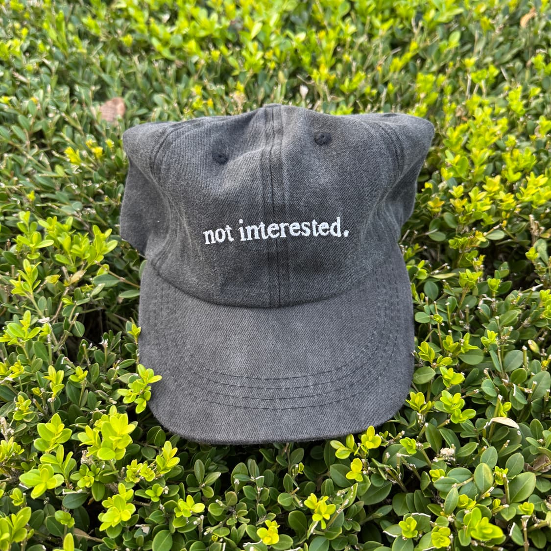 USA notinterested 빈티지 모자 볼캡 피그먼트 상품이미지1