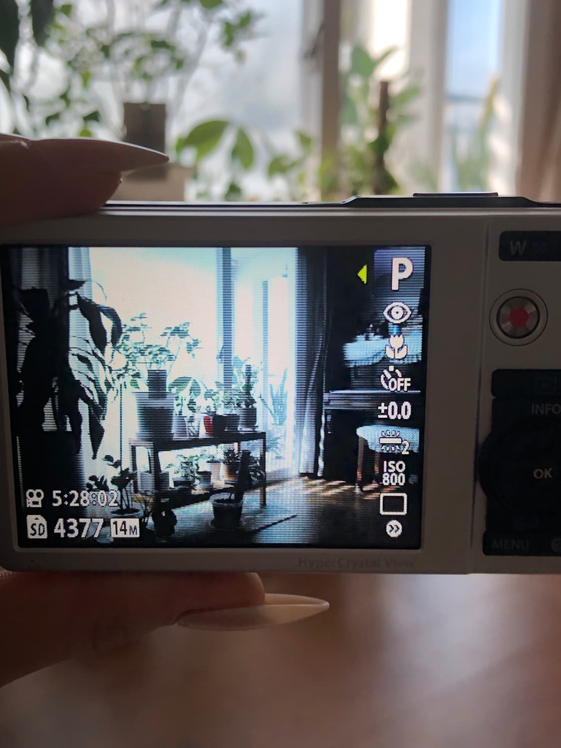 초미품💖올림푸스 뮤 7040 핑크 (계좌이체 시 할인) 상품이미지10