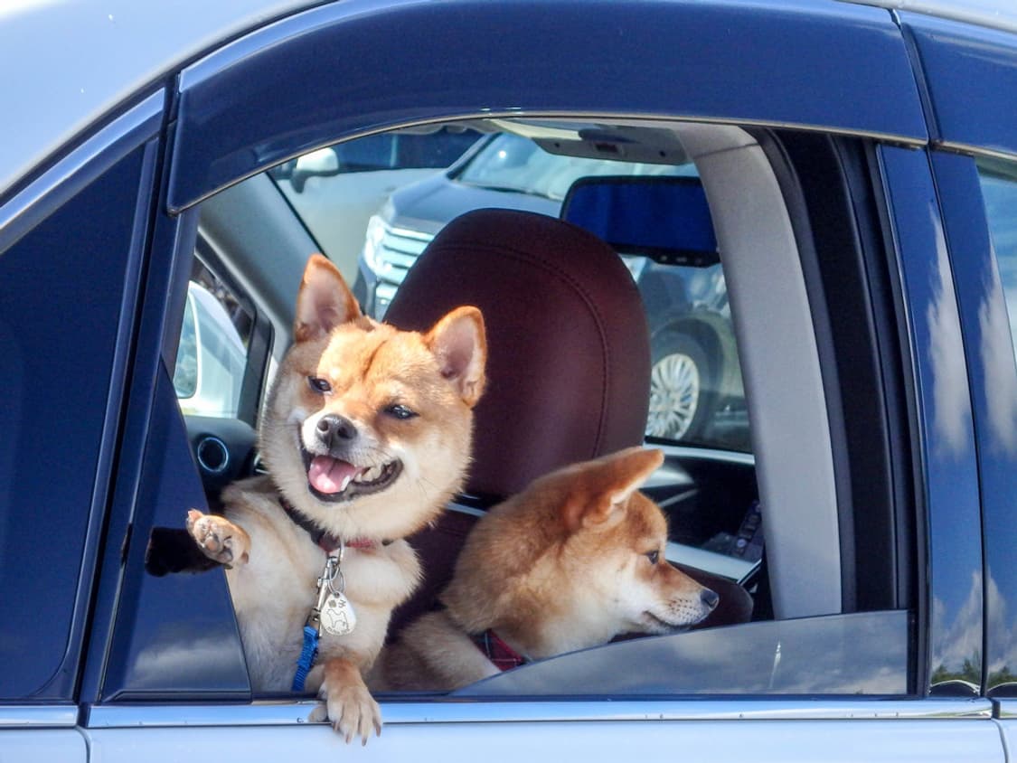 올림푸스 스타일러스 Olympus Stylus TG-850 실버 상품이미지5