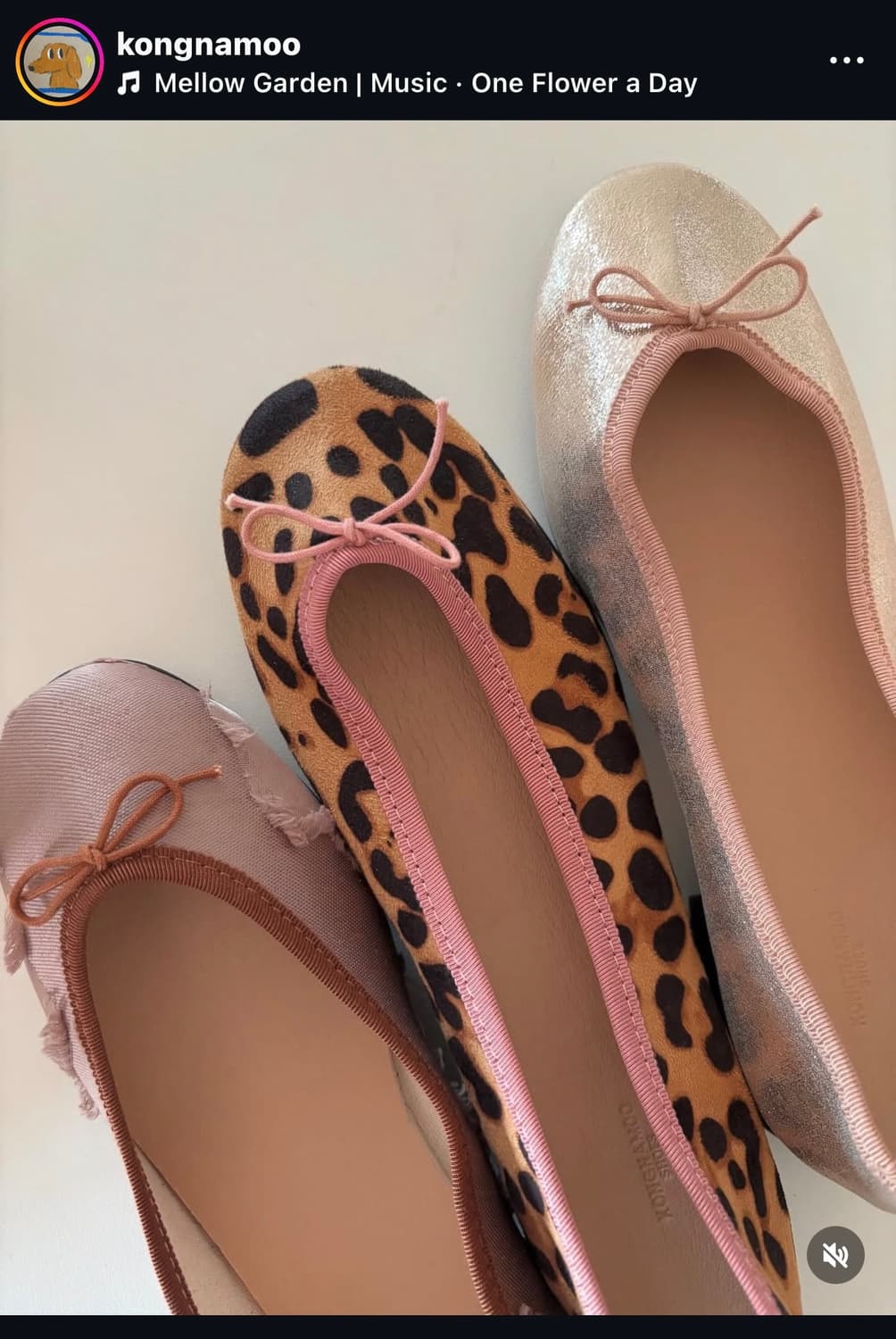 콩나무플랫 pink leopard 240 상품이미지5