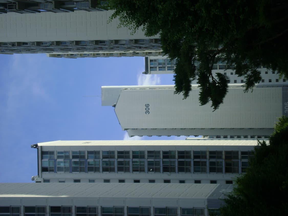 라이카&희귀!) Leica x Panasonic DMC-LX5 상품이미지5