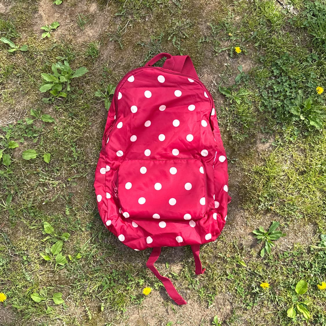 체리 도트 피크닉 백팩 상품이미지1