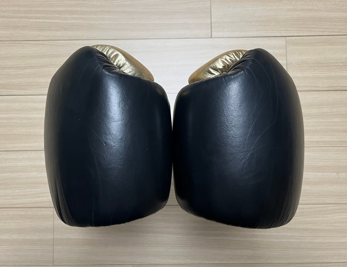 [새제품] [16온스] 에버라스트 파워락 트레이닝 복싱 글러브 상품이미지5