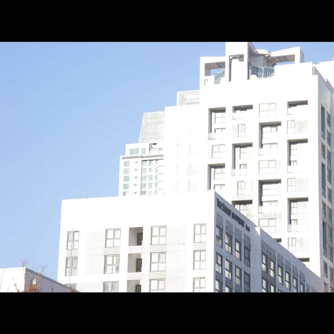 작례⭕️ 펜탁스 옵티오 SVi 메탈릭 실버 상품이미지9