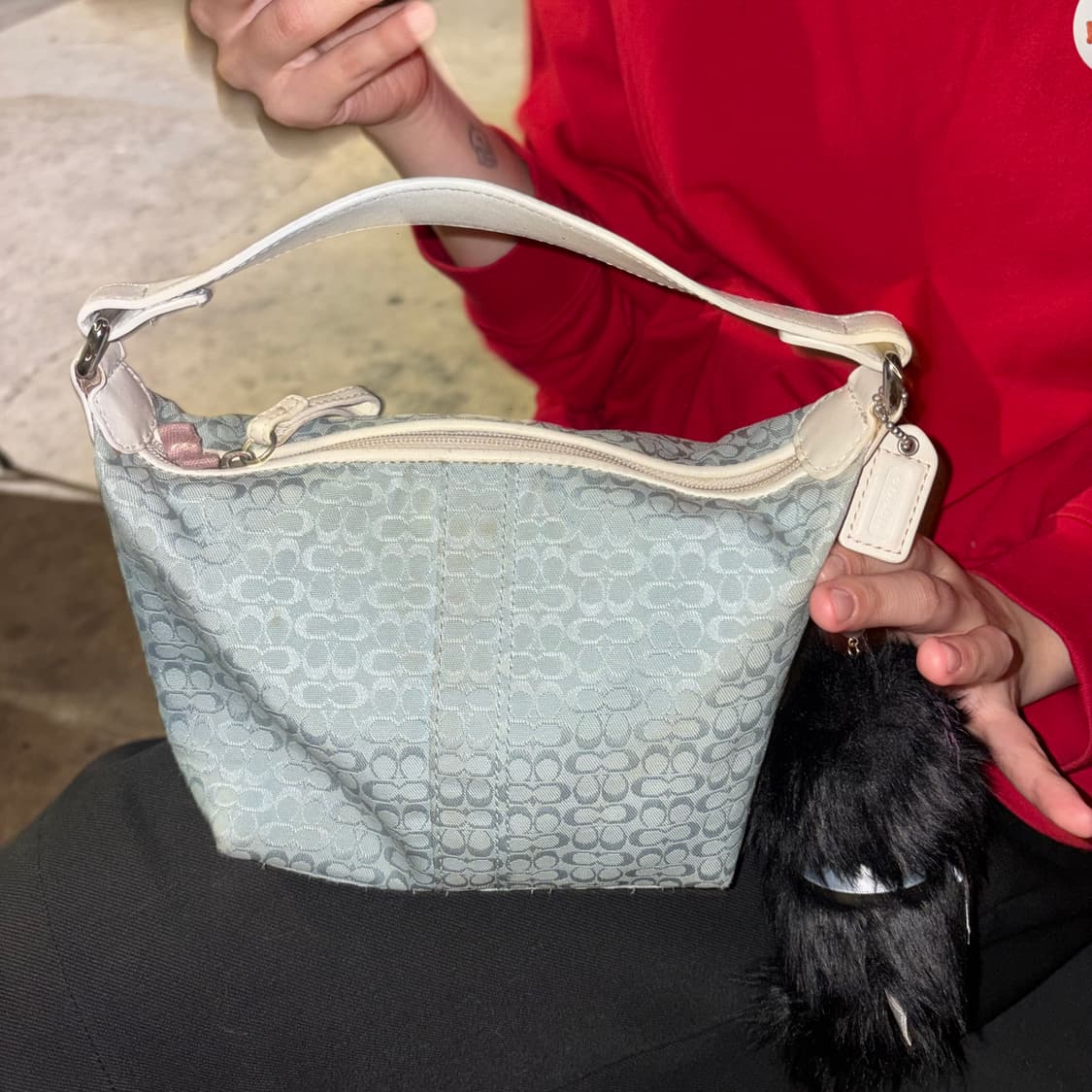 coach bag 상품이미지2
