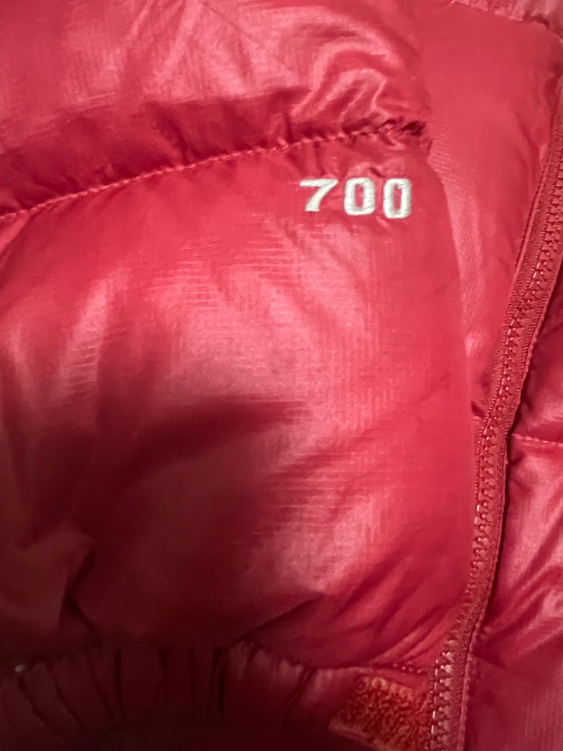 North face 눕시 구스다운 700  상품이미지2