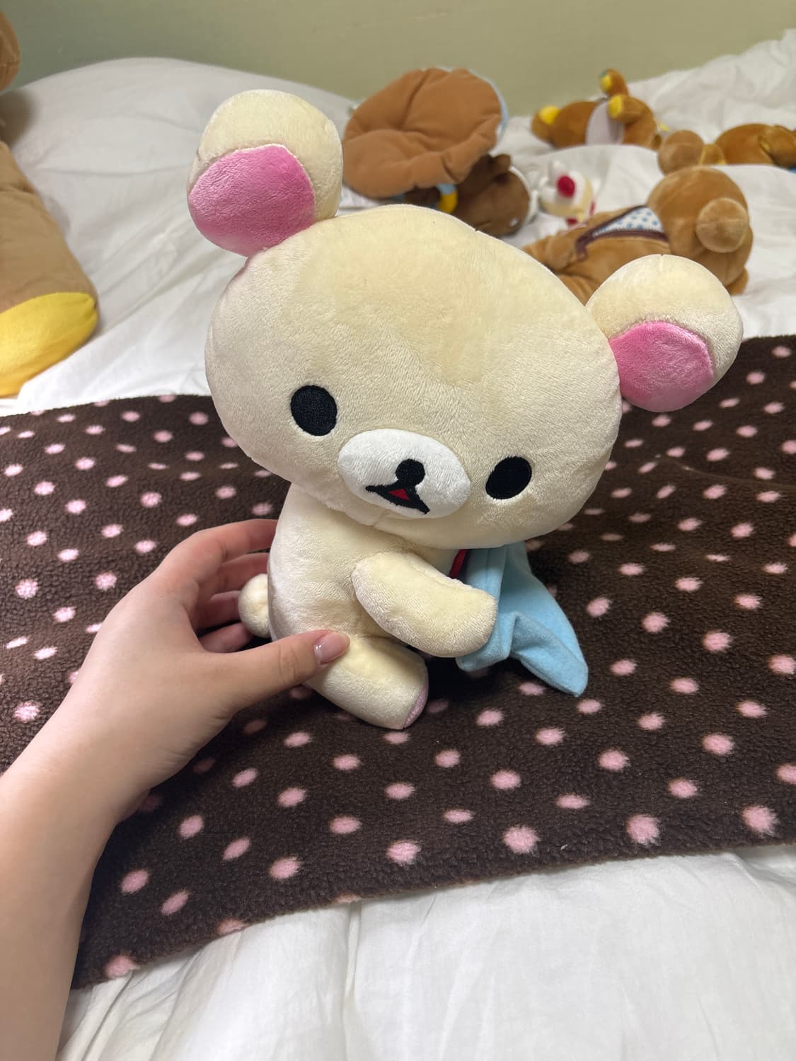 산엑스 이불 덮어주는 코리락쿠마 상품이미지1