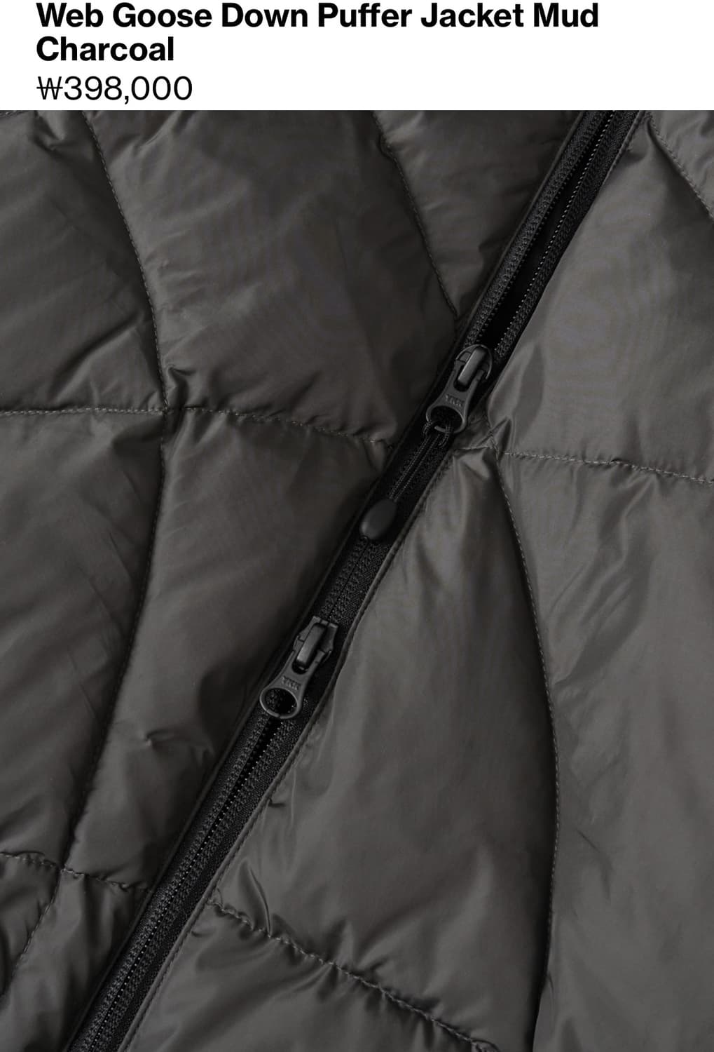 25FW  Web Goose Down Puffer Mud Charcoal 상품이미지4