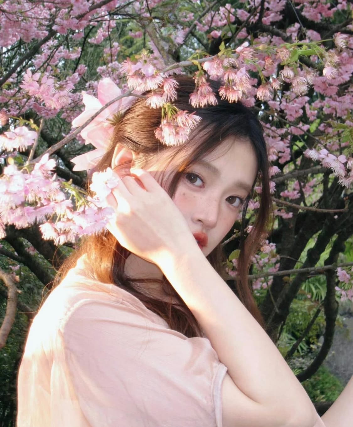 인기!) CANON ixus 110 is 빈티지디카 🌸 상품이미지3