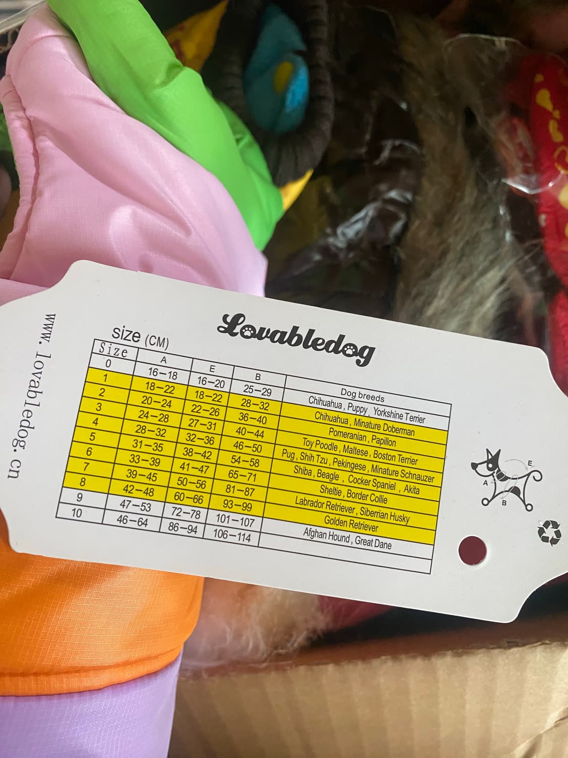 애견 강아지 패딩 옷 24점 일괄 상품이미지5