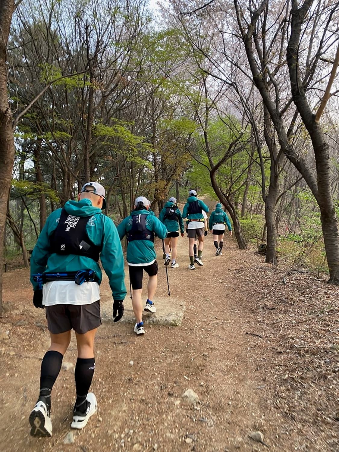 CAYL Light EQ 풀오버 M사이즈 판매합니다.  상품이미지7