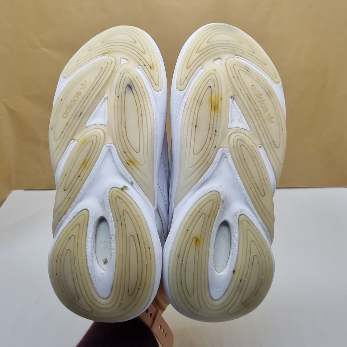 아디다스 오젤리아 여성운동화230. 상품이미지3