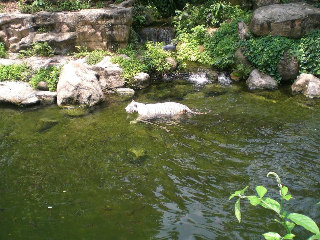 (입문용추천) 카시오 CASIO EXILIM EX-Z60 빈티지 디카 상품이미지8