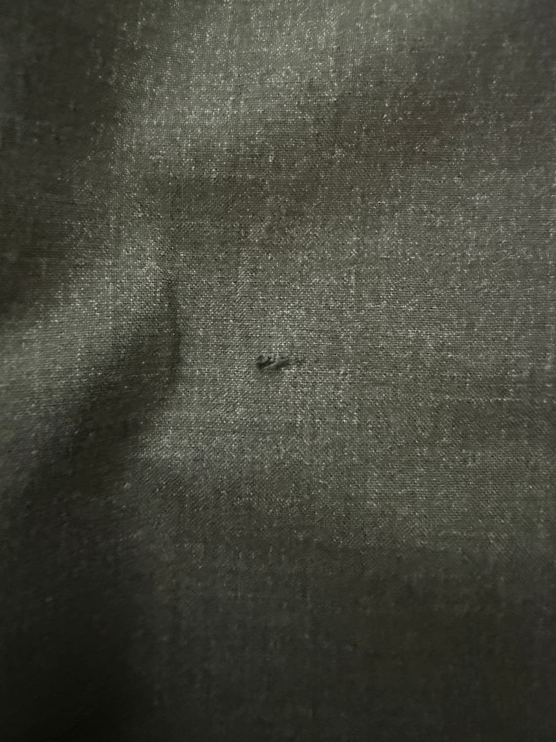 프라다 트라우저 상품이미지3