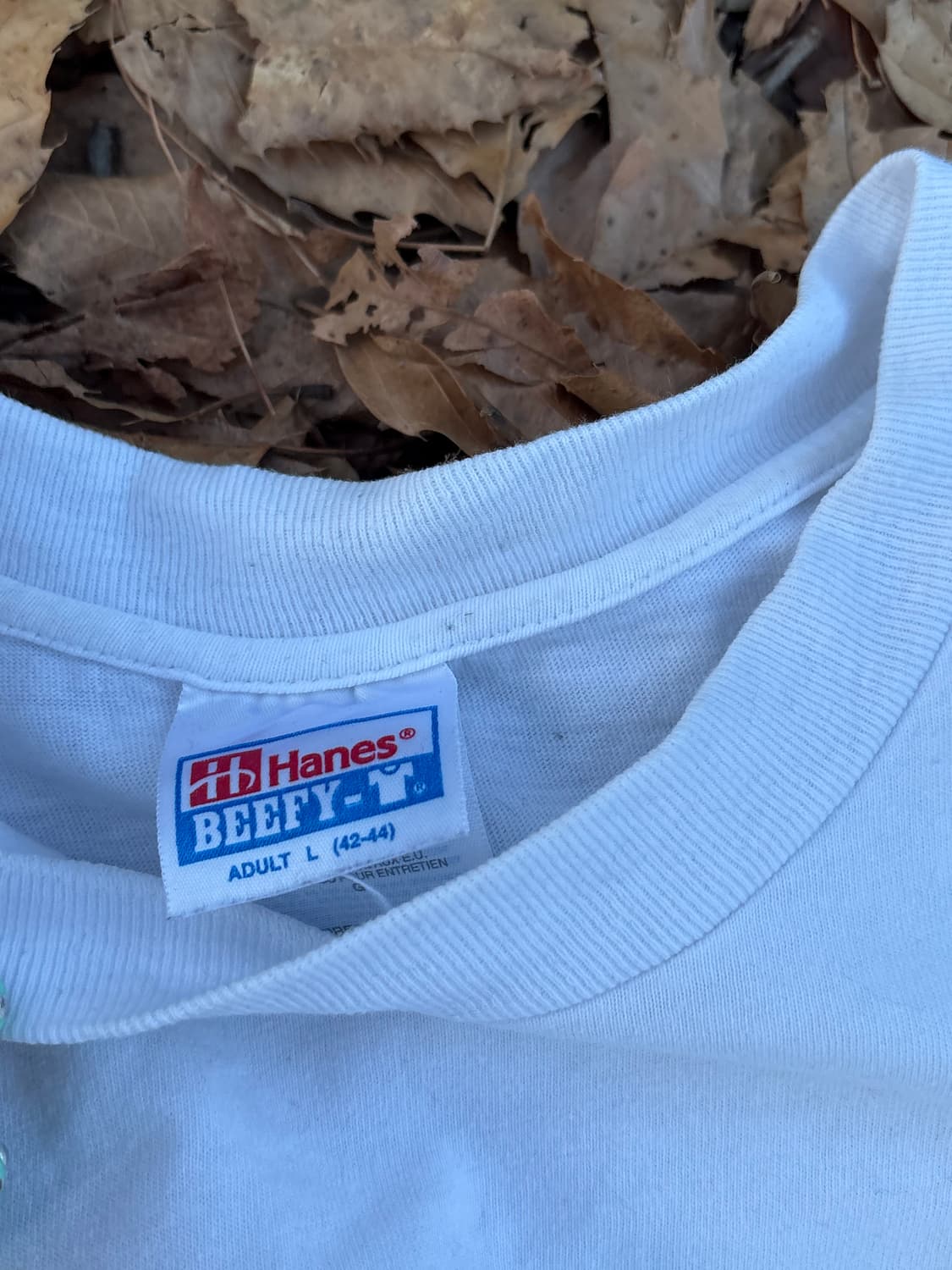 90s vintage apple go go go 빈티지 애플 상품이미지5