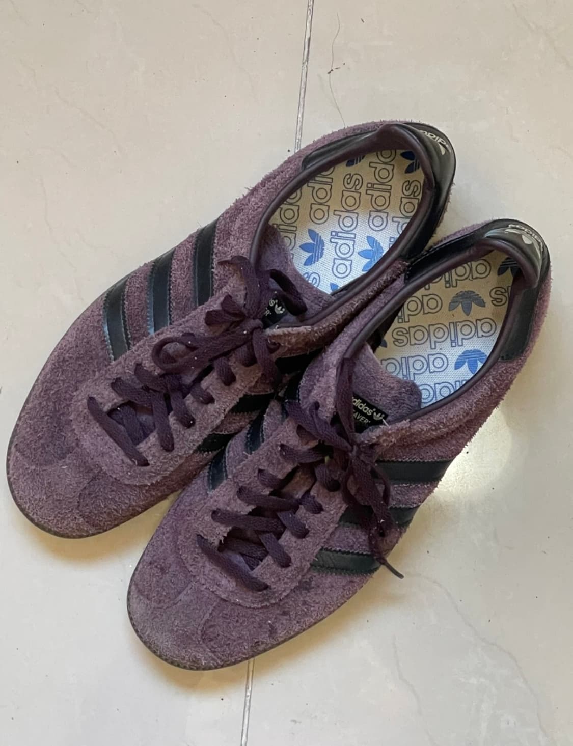 스테이트 시리즈 OR - 쉐도우 마룬 상품이미지2