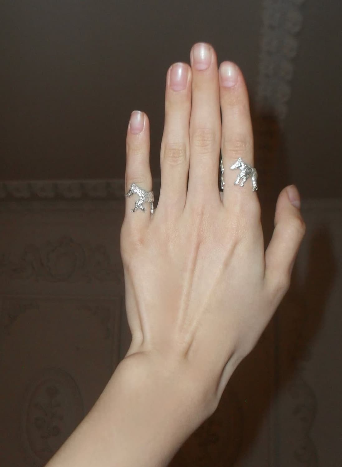 Horse ring Set 2개 scattering 스캐터링 반지 상품이미지1