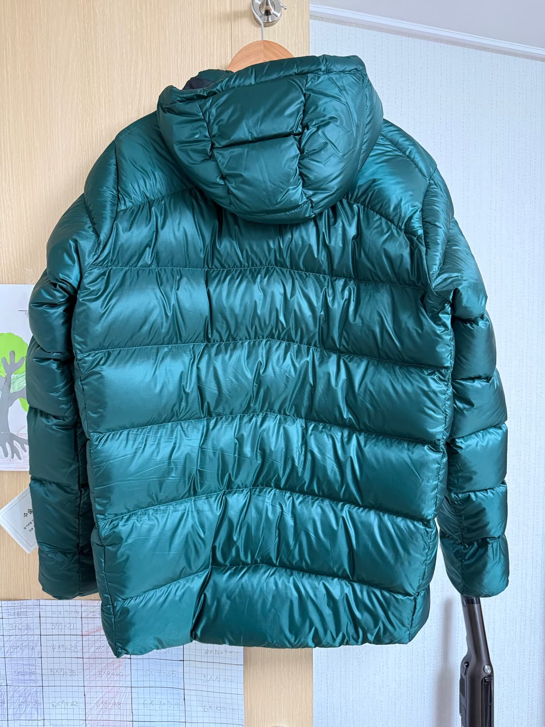 파타고니아 피츠로이 다운 그린 L 팝니다 상품이미지2