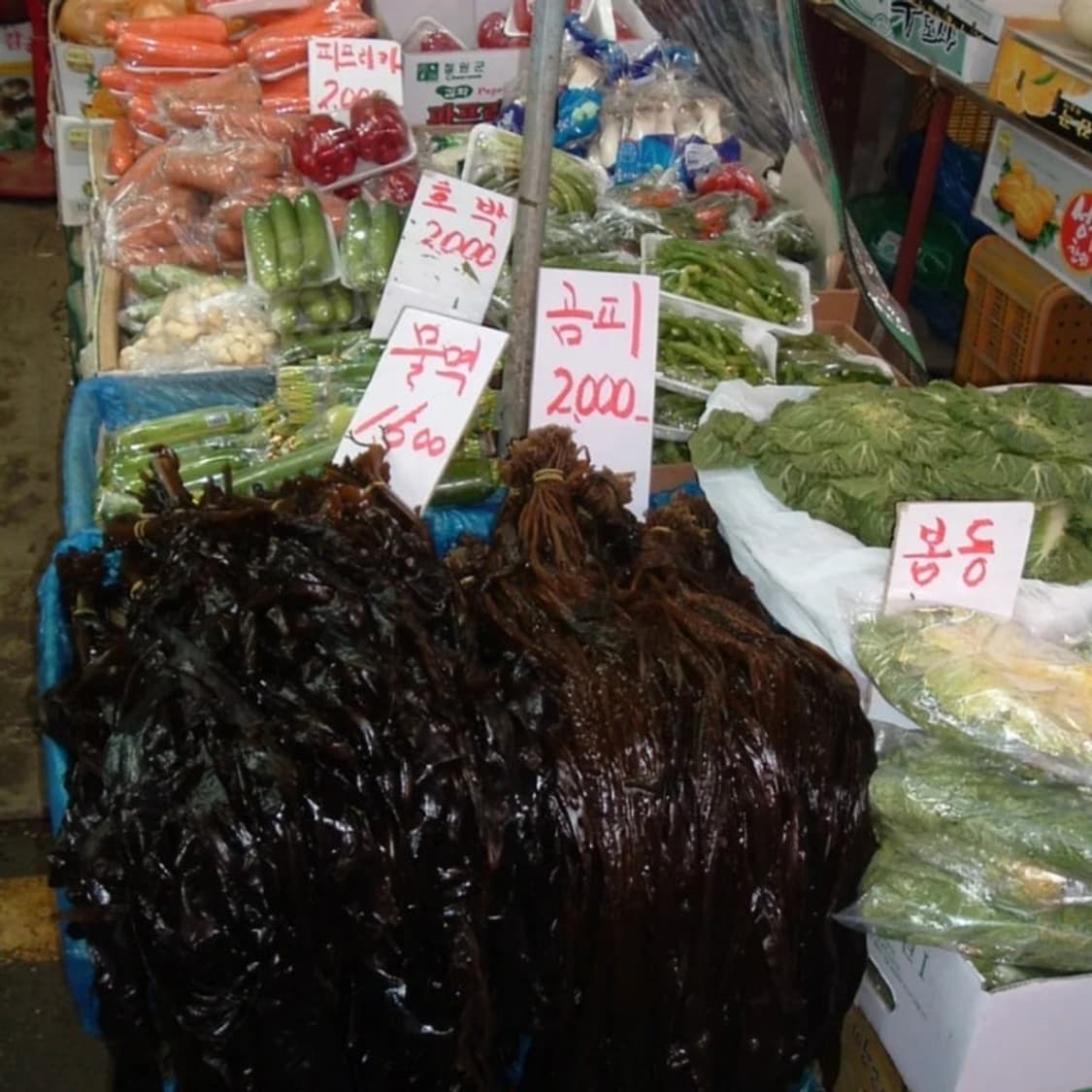 Fuji pinepix 파인픽스 A210+xd카드+스트랩 상품이미지3