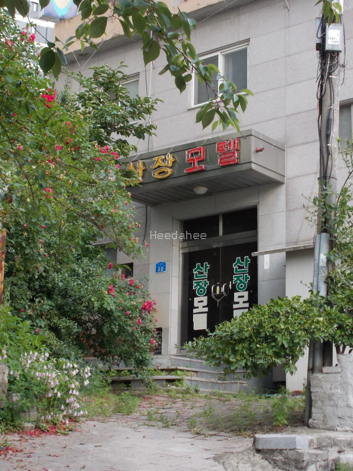 작례⭕️ 니콘 쿨픽스 A10 빈티지디카 / AA 건전지디카 상품이미지4