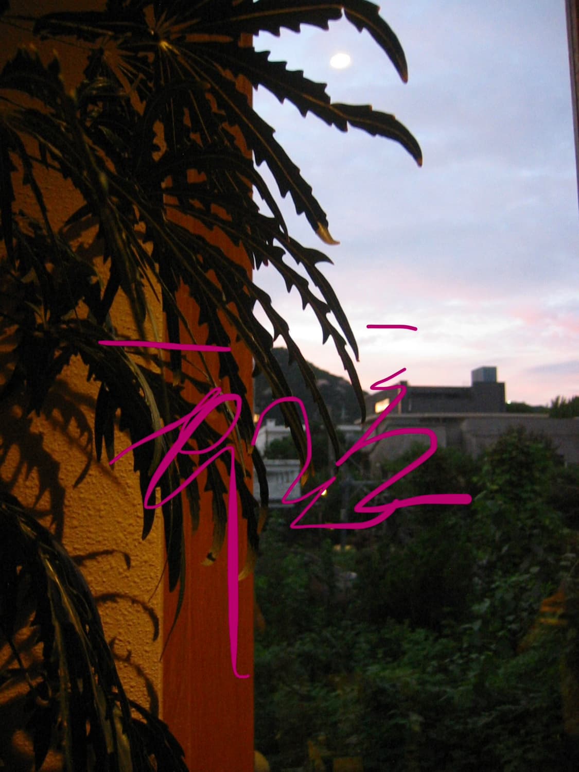 캐논 익서스 IXUS V2 상품이미지7