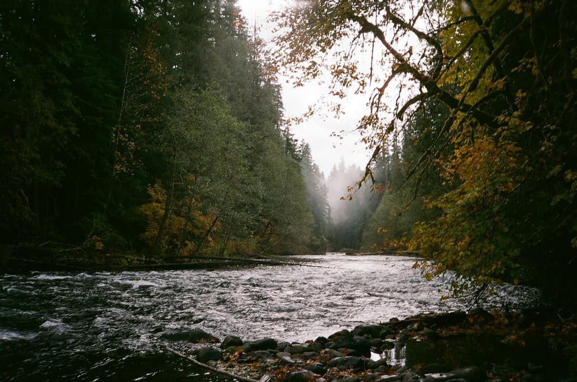 작례O 감성 영화 무드 캐논 snappy s 필름카메라 빈티지 필카 상품이미지4