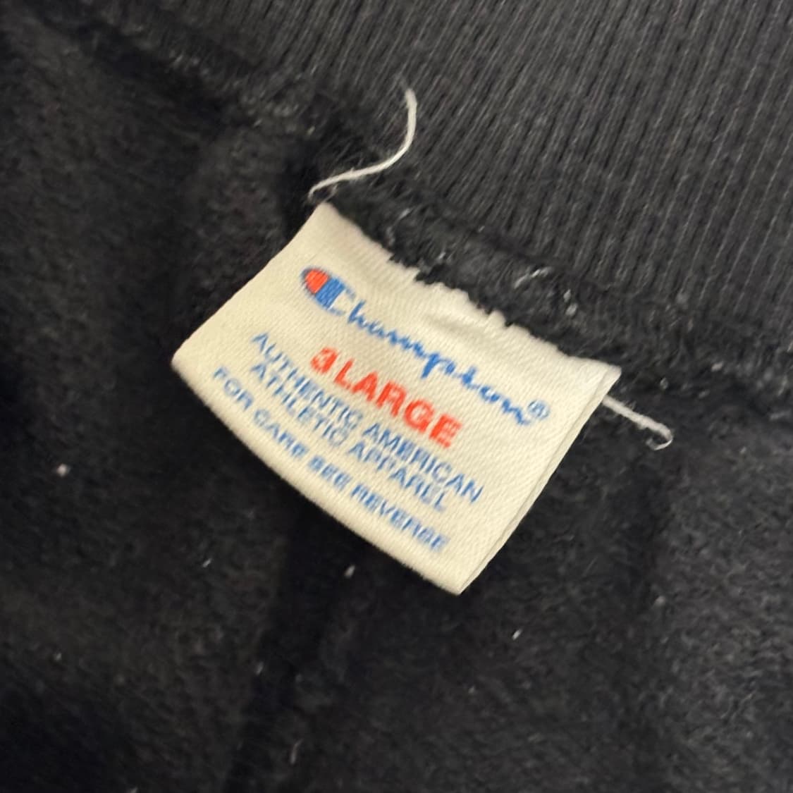 챔피온 와일드우드 그래픽 스웨트 팬츠 상품이미지3