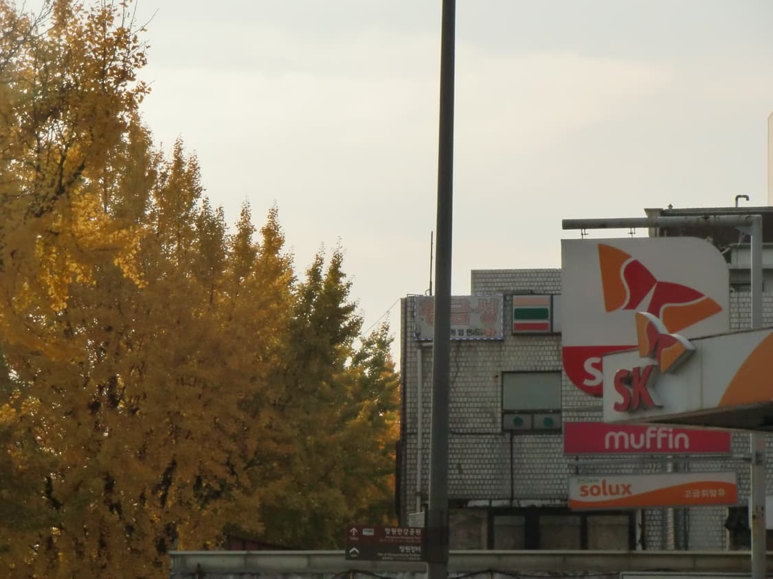 카시오 엑슬림 h10 상품이미지5