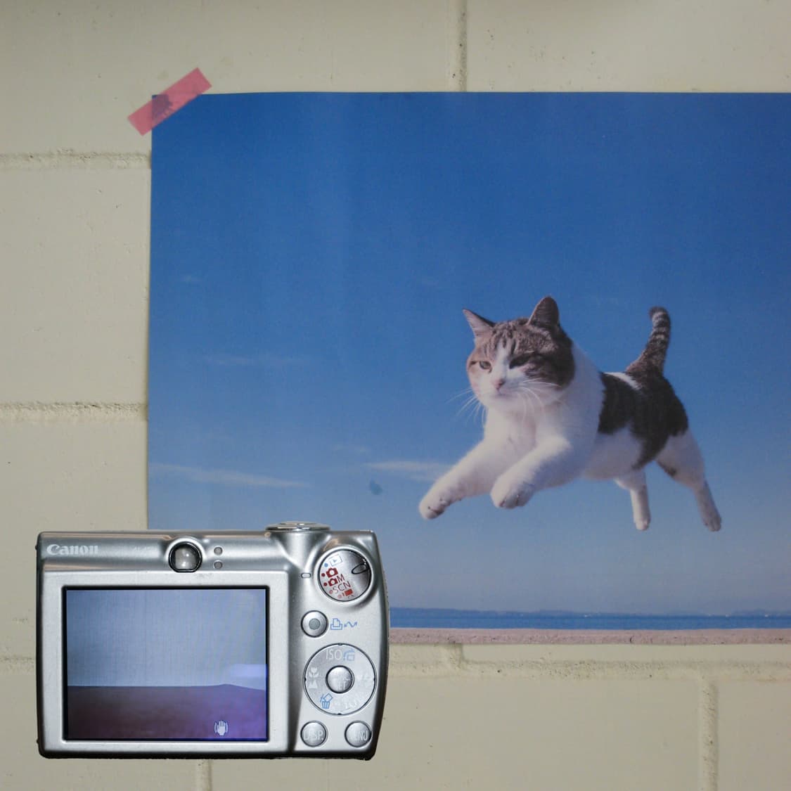 Canon Ixy 900(✨A급/🎁풀패키지) 상품이미지3