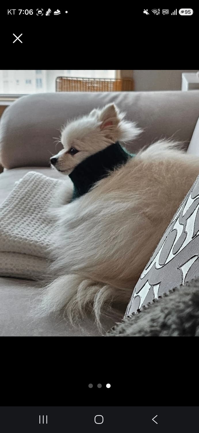 핸드메이드 강아지 산타 목도리 상품이미지2