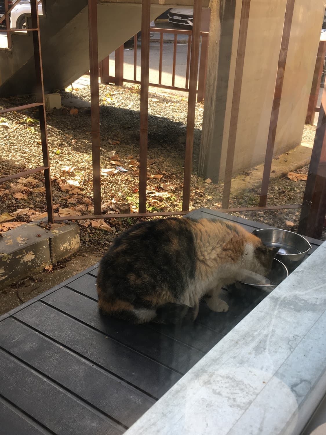 릴코, 선데이업 상품이미지1