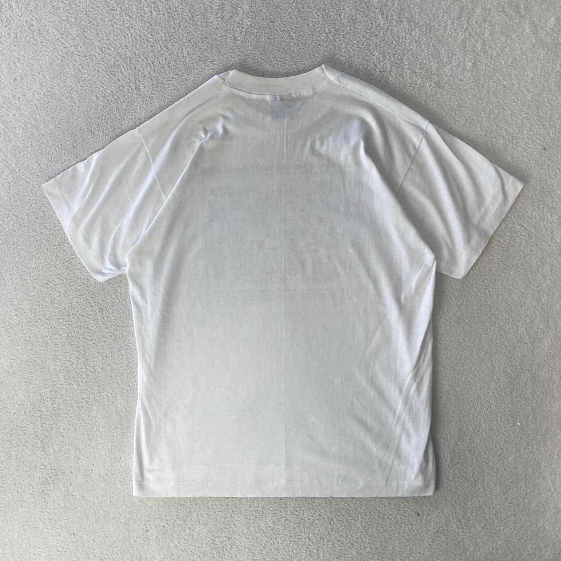 1993 스크린스타 Princeton 대학 Picnic 싱글스티치 티셔츠 상품이미지2