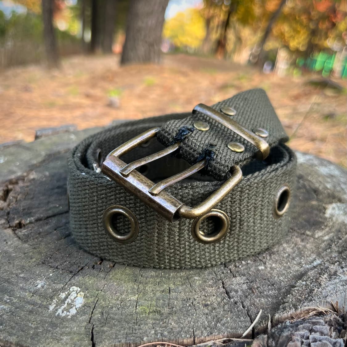 더블핀 롤러 버클 웹 벨트 상품이미지5