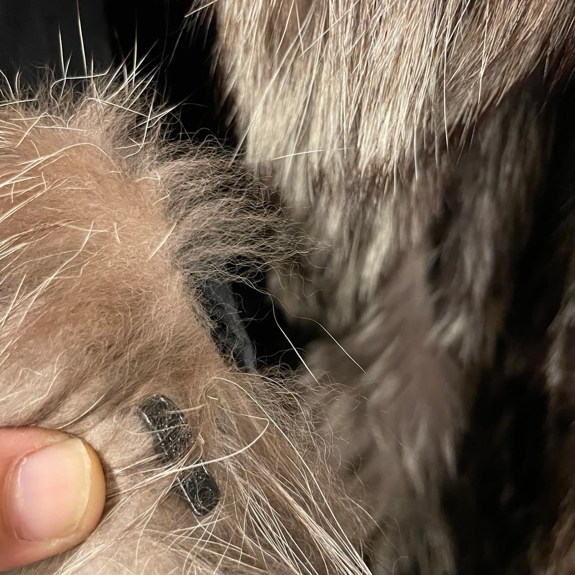 사가폭스 롱퍼 자켓 상품이미지2