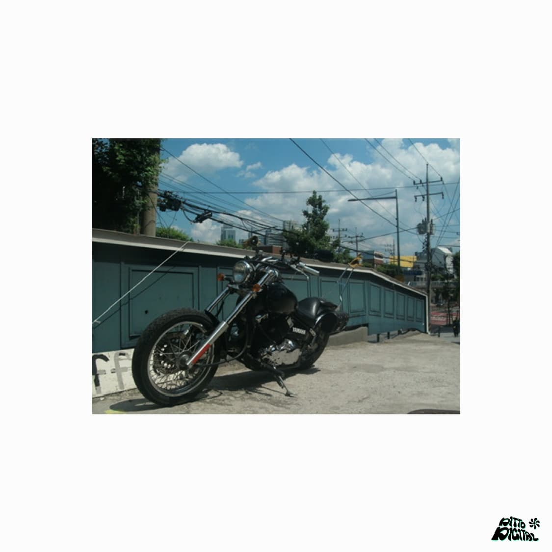 GE C1130디카 상품이미지5