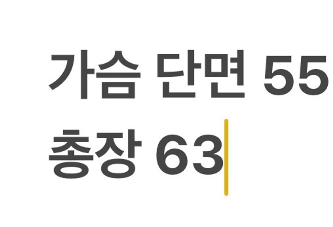 [정품/M] 올드 스투시 레인보우 어센틱 기어 져지 b15 상품이미지8