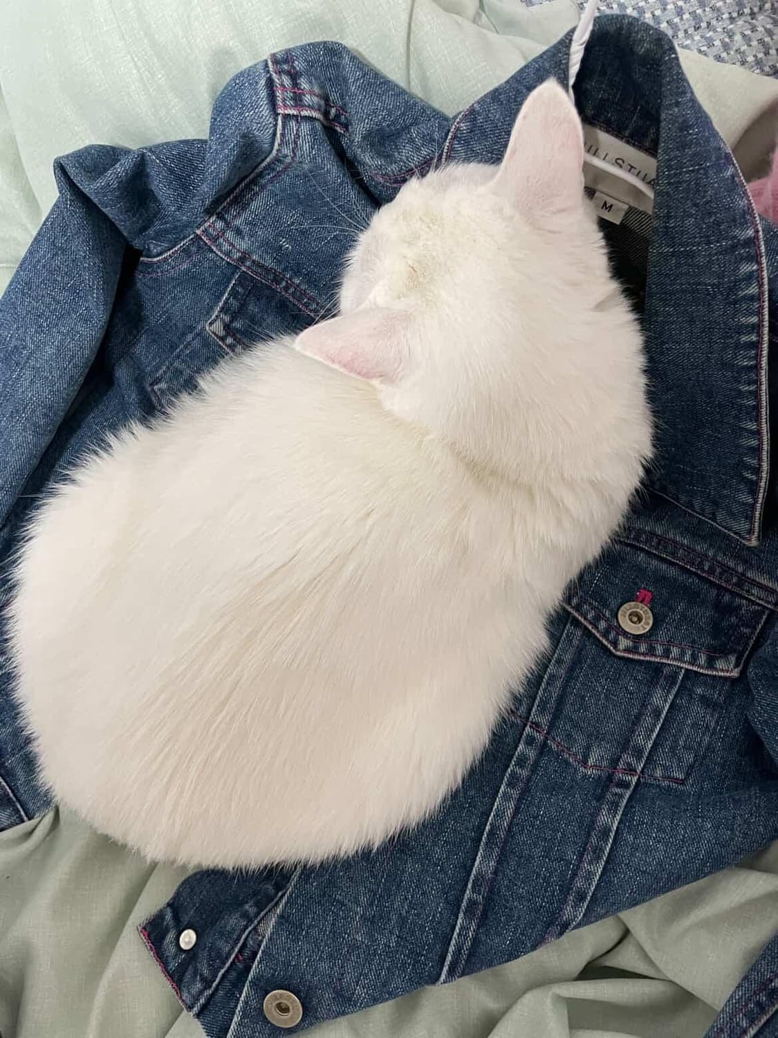 결제창2 상품이미지1