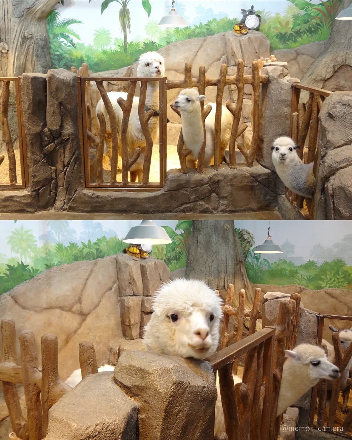 소프트스킨기능💖SONY DSC-WX7 소니카메라 빈티지디카 상품이미지6