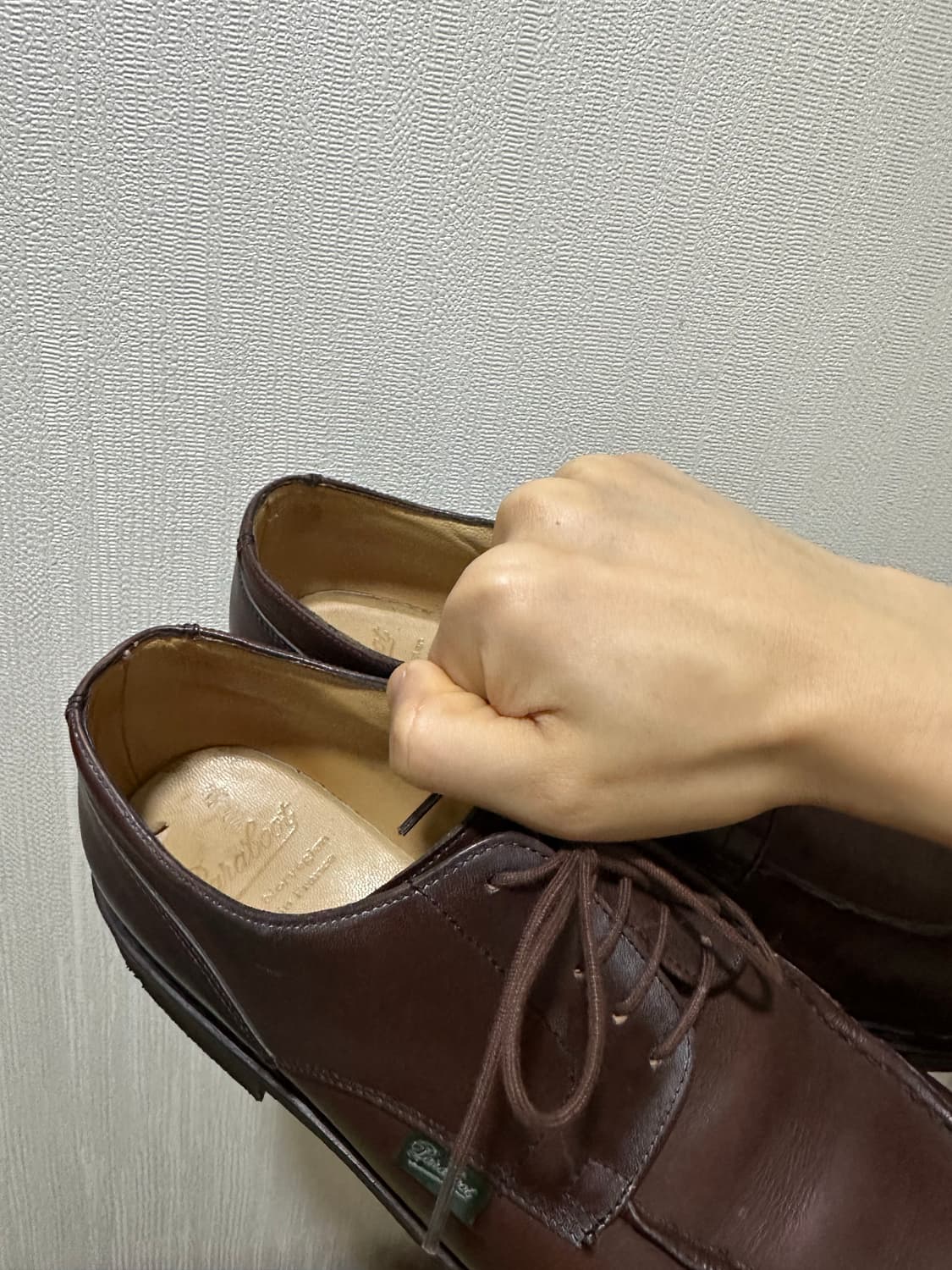 255) 파라부트 샴보드 팝니다. 상품이미지5