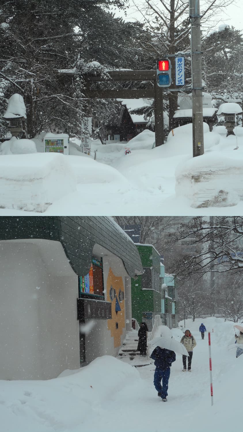 wifi전송 마젠타 사쿠라 윈터 카메라 니콘 쿨픽스s3700 작례o 상품이미지6