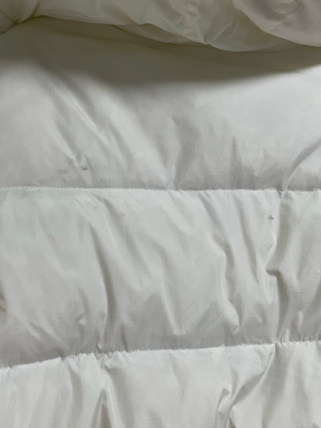 Mlb 패딩 상품이미지6