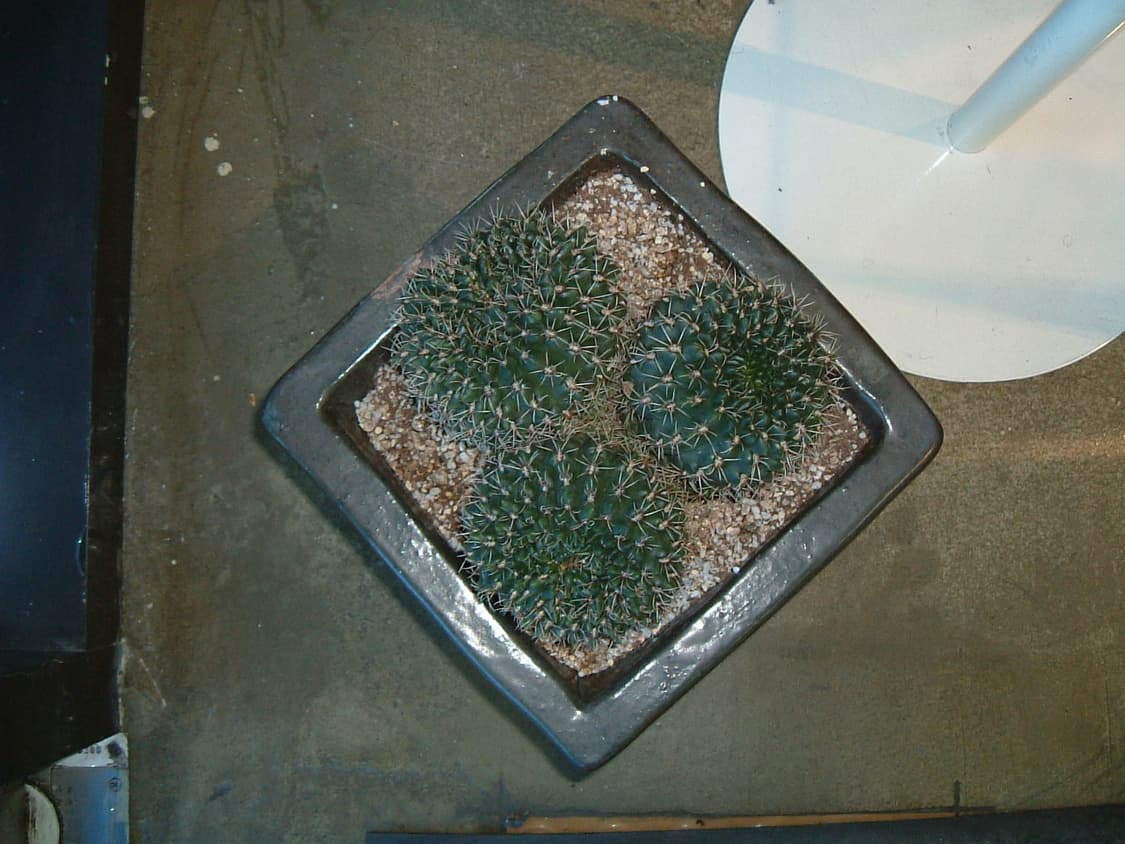 배터리2개/스미카64mb)후지필름 파인픽스 f401 빈티지디카 상품이미지10