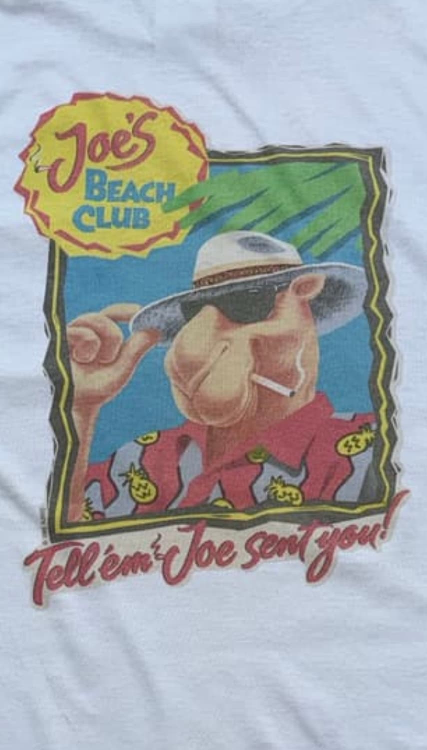 카멜 프로모션 티 구합니다 상품이미지1