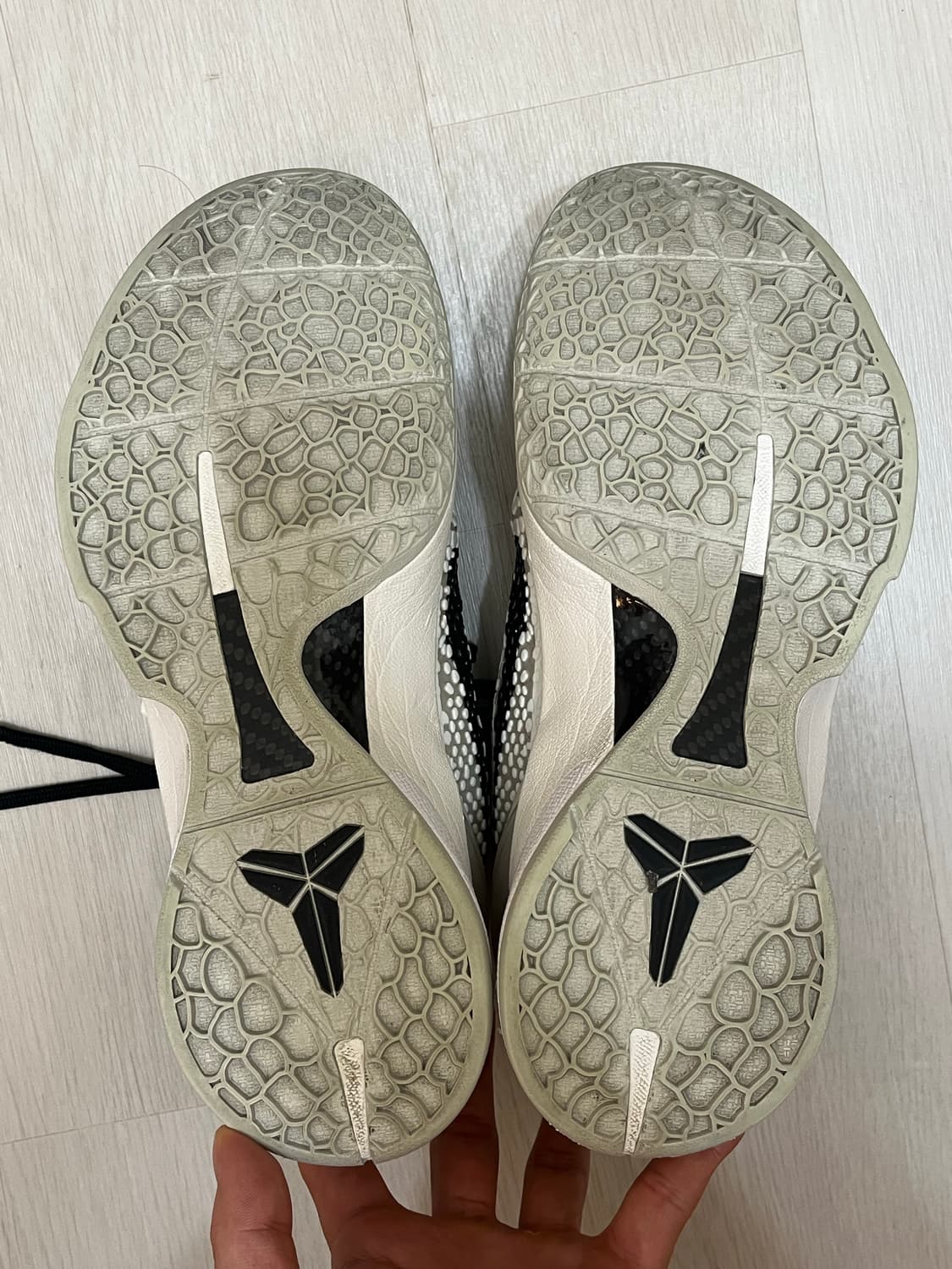 코비6 프로트로 세일 275 상품이미지5