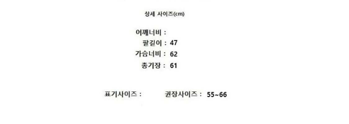 BERTI 베르띠 상품이미지7