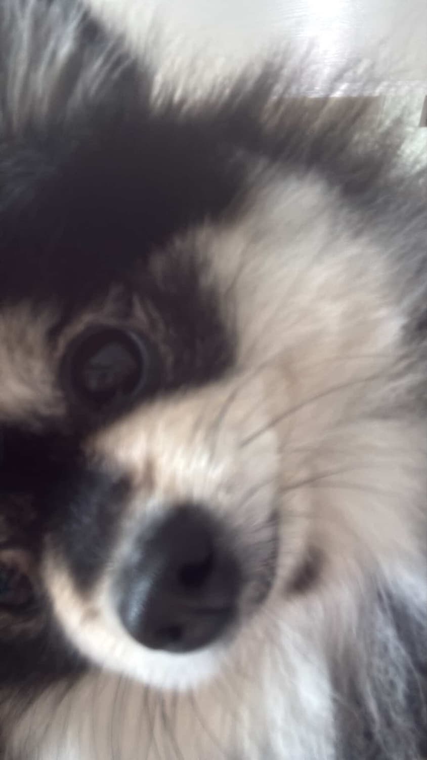 개인결제창_라이브 상품이미지1