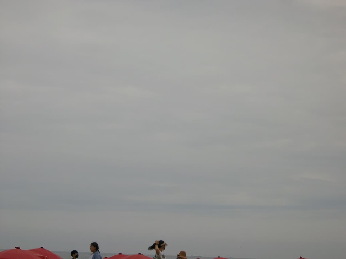 캐논 익서스 210 상품이미지8