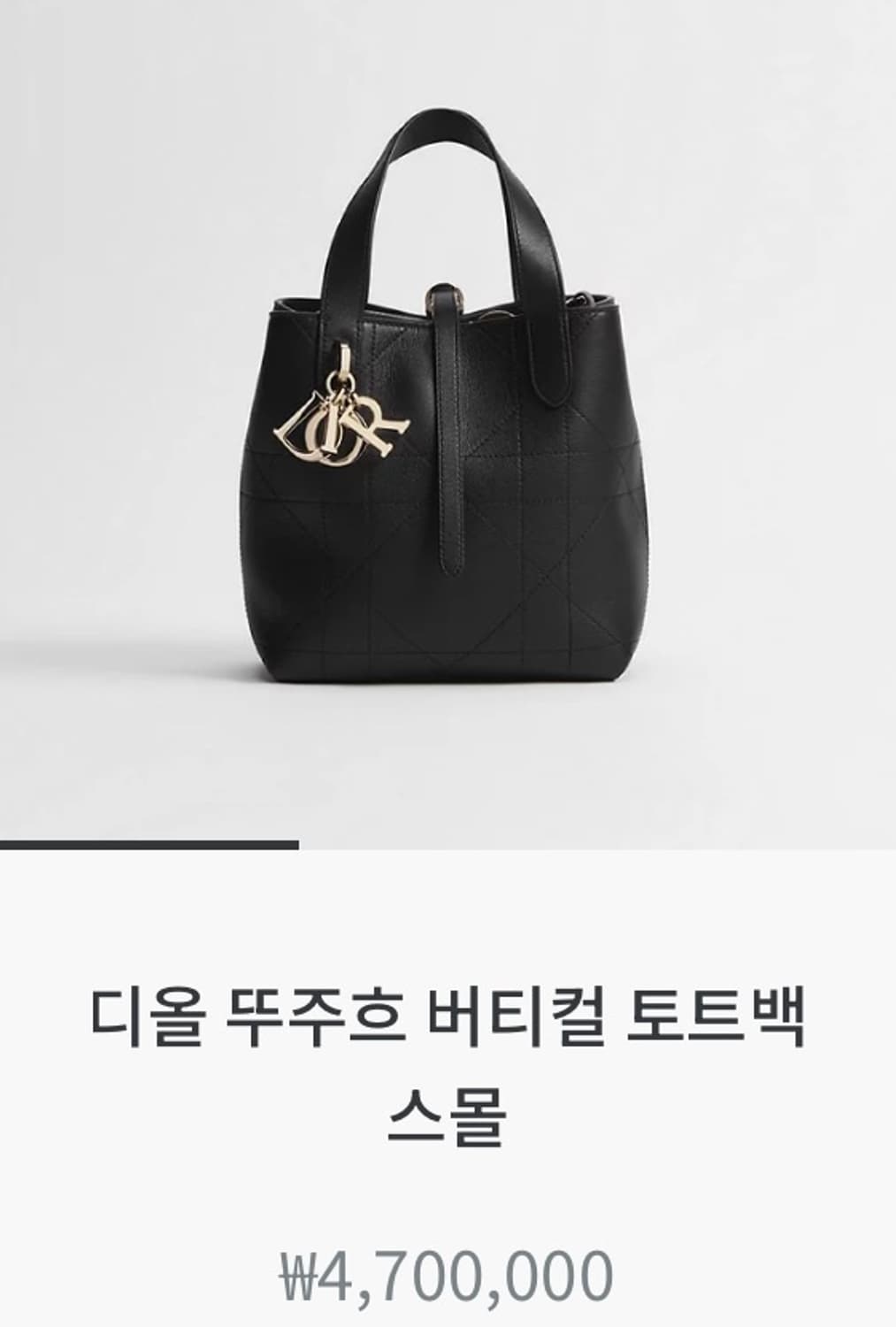 디올 뚜주흐 스몰 새상품 팝니다 상품이미지2