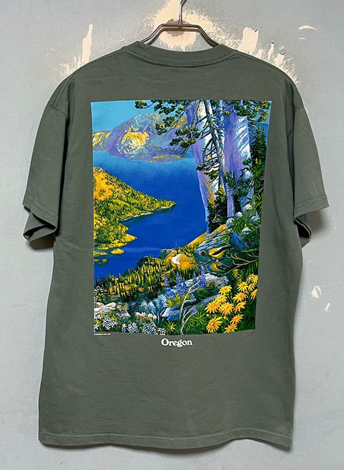 NIKE 나이키 ACG NRG 숏슬리브 그레이터 레이크 반팔티 M 95 상품이미지2